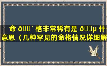 命 🌴 格非常稀有是 🐵 什么意思（几种罕见的命格情况详细解析）